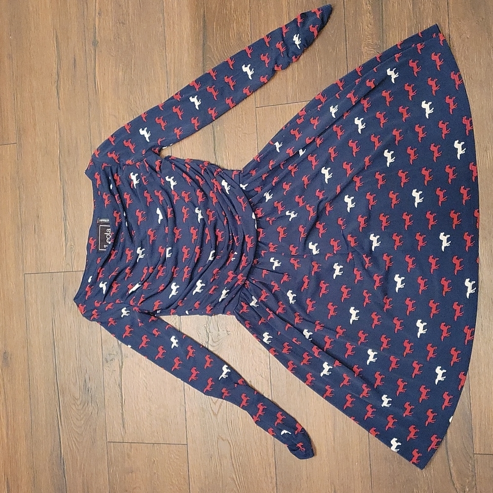 Leota xs fit and flare